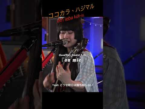 #Shorts　Ah ieba köh-iu. 「ココカラ、ハジマル」 #original_song #あーいえばこーゆー / on mic