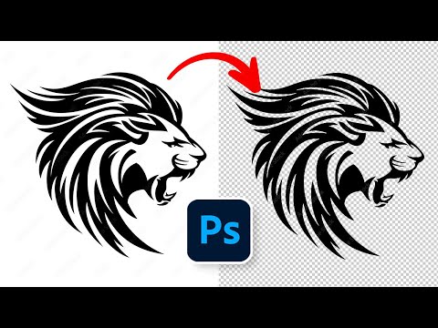 How to Remove Background in Photoshop Black and White