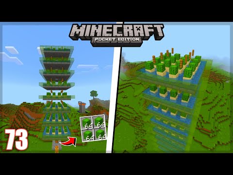 Fiz uma FARM de CACTO INFINITA - Minecraft Survival 1.20 #73 (Minecraft Bedrock)