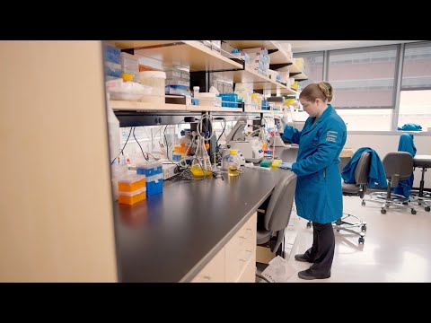 CAR T-Cell Therapy | UCLA Health Jonsson Comprehensive Cancer Center