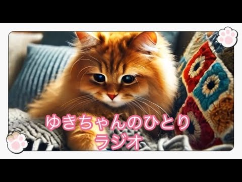 ゆきちゃんのラジオ　コメントあまりよめません。2025.2.12