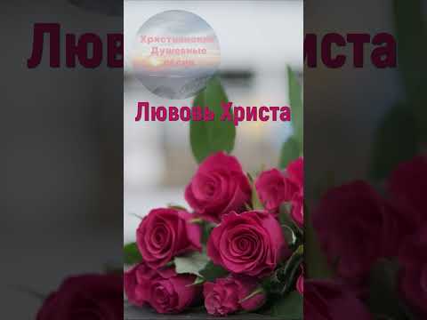 Любовь Христа - Христианские песни #shorts #любовьхриста #christiansongs