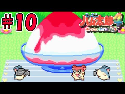 【とっとこハム太郎4】超巨大かき氷(いちご味)を手に入れろ#10