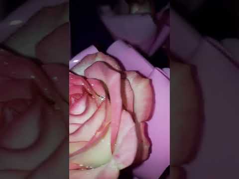 красивые цветы💞💐💐💐