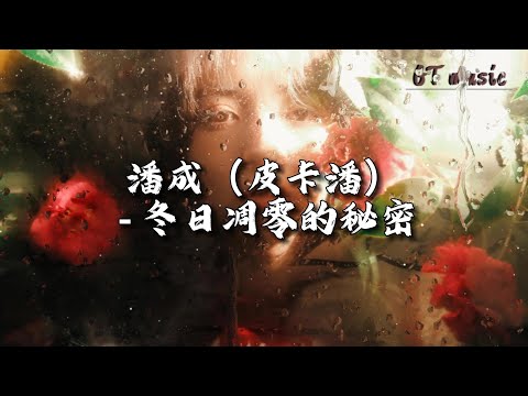 潘成（皮卡潘）- 冬日凋零的秘密『时间是催化剂，玫瑰错过花期，枯萎已成定局。』【动态歌词MV】