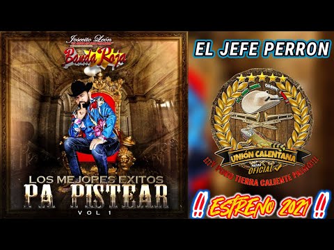 El Jefe Perron / Josecito León y Su Internacional Banda Roja / Estreno 2021