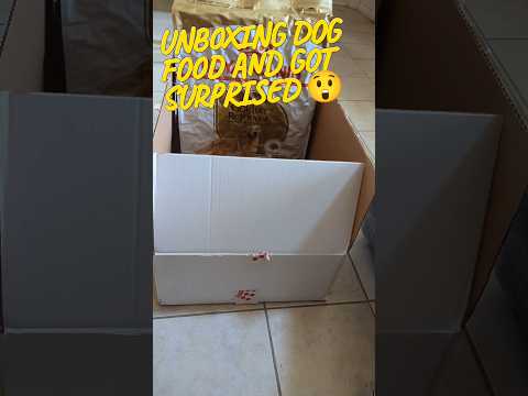 Dog food delivery surprise. Something extra included #dog #shorts #cat #funnyvideo