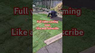 Turf Laying Full Video Coming Soon|Garden transformation Video #gardeningbusiness #gardeningchannel