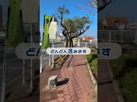 【道案内】浦添運動公園から沖統まで徒歩5分👣 #Shorts