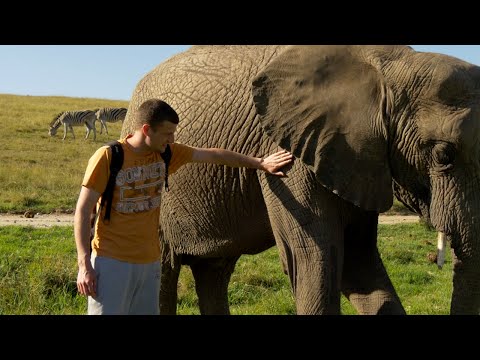 Feeding & Touching Elephants Vlog 11