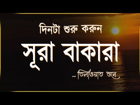 দিনটা শুরু করুন আবেগময় কণ্ঠে সূরা বাকারার তিলাওয়াত শুনে । Emotional Quran Recitation by Ahmed Sahmeh