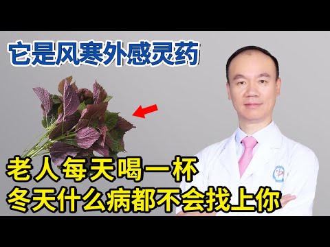 用它泡水，老人每天喝一杯，冬天什么病都不会找上你！【生活家】