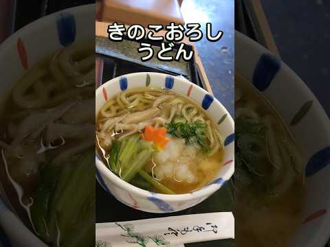 京都鴨川製麺所　きのこおろしうどん、抹茶うどんぶっかけ　#うどん