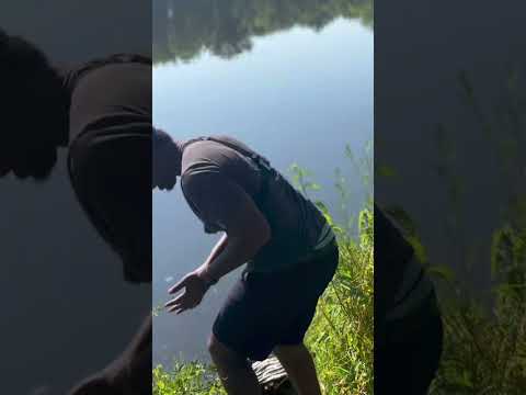 Bank Fishing Can Be HAZARDOUS! #beginnerfishing  #bassfishing #bankfishing #shorts #funny