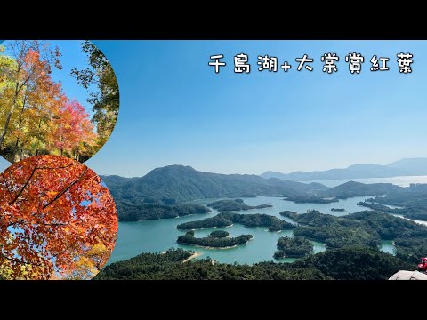 Hiking in Hong Kong | 千島湖觀景| 大棠欣賞紅葉| 香港行山最受歡迎路線