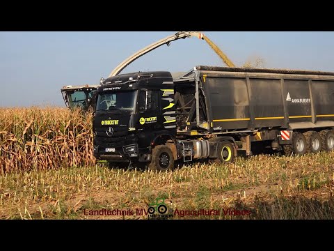 Claas - Fendt - MB - MAN - ++ / Maissilage - Silaging Maize  2024