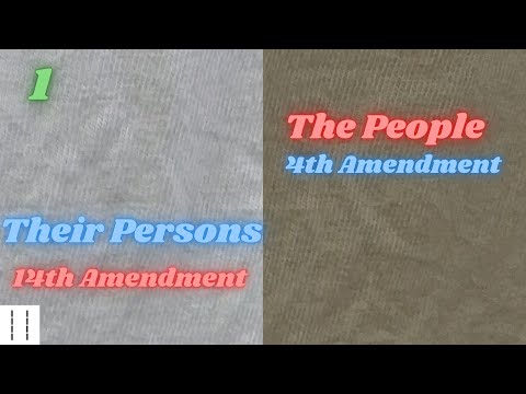 Basics 101: The People and Their Persons   4th, and 14th Amendment  Part 1 (Preview)