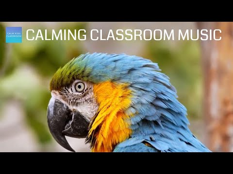 Morning Music For Class - Birds: music & quiet bird sounds - Calming Classroom Music For Children