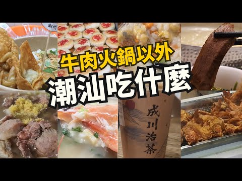 潮汕美食掃街指南🧭腐乳雞翼 胡榮泉春餅 成川治茶📍（中文字幕）