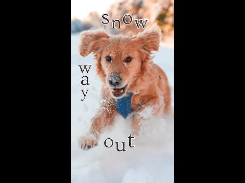 Snow Way Out