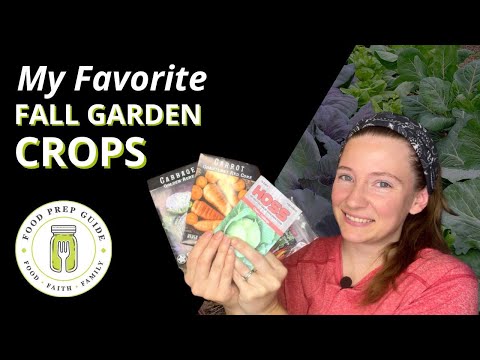 Top 10 Fall Garden Crops | Seed Chat