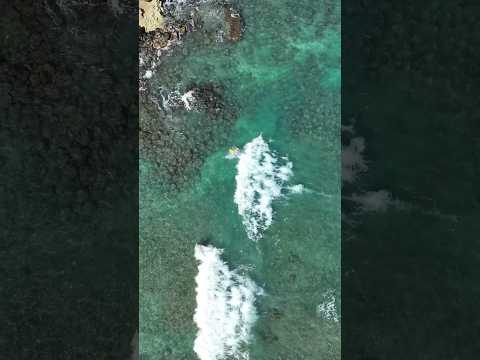 Shallow party wave #surf #hawaiibeach #ocean #aerialfootage #beach #surfers