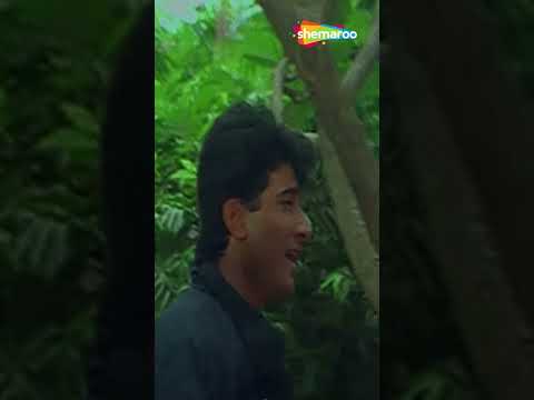 Kya Tumhe Pata Hai Ae Gulshan_Dil Hai Betaab (1999) #shorts @shemaroo.romanticsongs