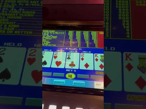 Dealt 4 Deuces! Need Kicker... Handpay! #gambling #videopoker #highstakesgaming #handpay