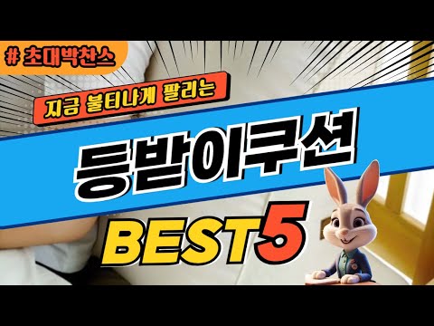 2024 초대박 찬스 등받이쿠션 추천 대박 가성비 베스트5! 후기 비교