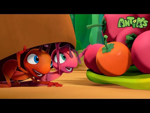 The Great Berry Rescue | Antiks 🐜 | Funny Cartoons for Kids