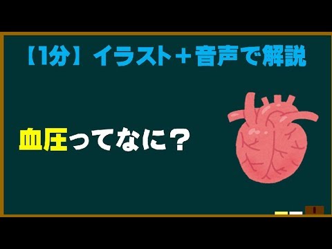 【1分】  血圧って何を表してるの？  【ためになる身近な科学】