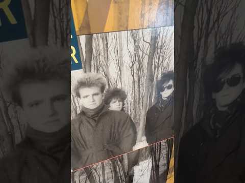 « Glasstiger » #glasstiger #80srock #vc #mc #vinylcommunity #thevinylloungemtl #vlmtl #vinylrecords