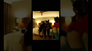 BEST Furry TikToks compilation 0354 #shorts #furrytiktok #furry #furrycompilation  #funnyvideo