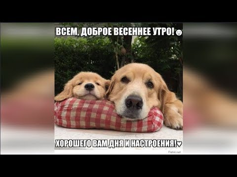 С добрым Весенним утром! Мотивационная Открытка С Добрым Утром!