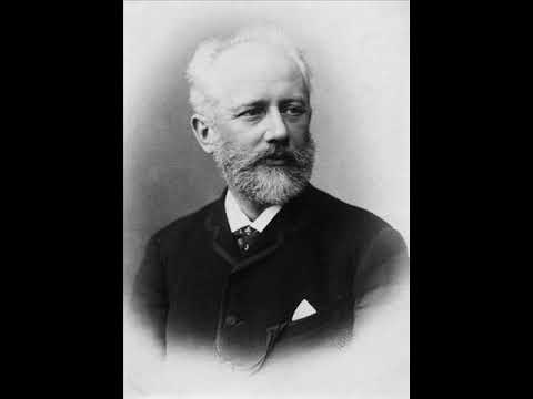 Pyotr TCHAIKOVSKY - WALTZ OF THE FLOWERS - The Nutcracker