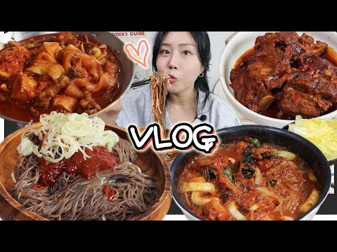 ENG soon) Spicy food ONLY🔥Korean food (Naengmyeon, Dakbal, Bbujjim, etc...) MUKBANG VLOG