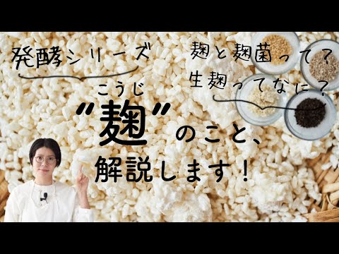 【発酵マイスター榎本美沙】"麹"のこと、解説します。