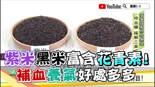 紫米 黑米 富含 花青素 膳食纖維！補血養氣好處多多 健康2.0 精華