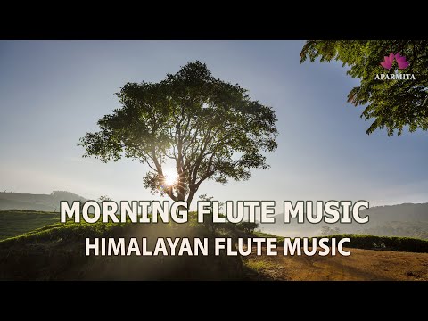 Morning Flute Music | Himalayan Flute Music | Meditation Music | (बाँसुरी) Aparmita Ep. 173