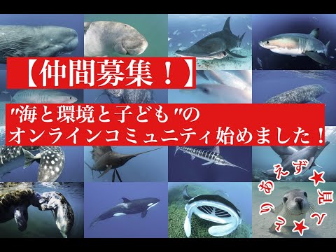 【仲間募集！】HEREコミュニティって何？ーSDGs14番ー