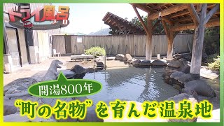 【#タマ伸也のドライ風呂】開湯800年！町の名物育てた温泉地「鰐の湯」大鰐温泉[青森の温泉 Aomori ONSEN] 大鰐町