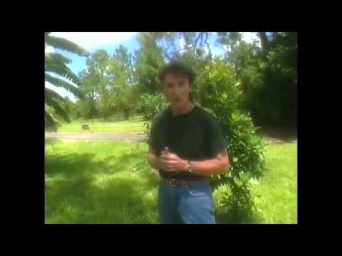 Gary Null - Sustainable Organic Farming in Florida