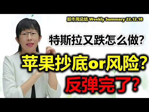 股票买卖 | 特斯拉没救了？苹果关键位如何走？圣诞行情（新手必看）#美股#特斯拉