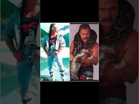 Bret Hart or Jake "The Snake" Roberts? #shorts #brethart #jakethesnakeroberts #wwe #fypyoutube #fyp