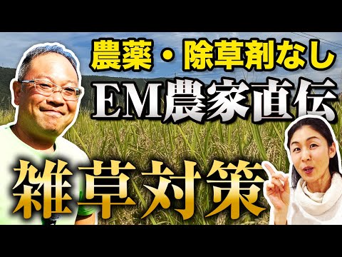 農薬・除草剤なし EMを使った驚きの雑草対策！まごころ農園 水野優一さん