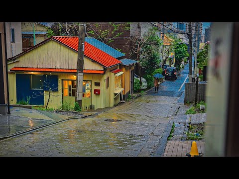 Japan - Central Tokyo Sakura Walk on a Rainy Day • 4K HDR