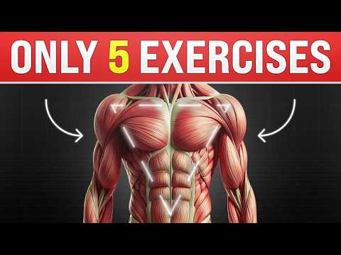 How to Get the Ideal V-SHAPED Body (Only 5 Exercises)