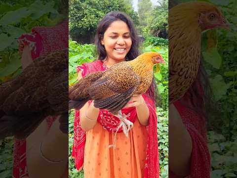 দেশি মুরগি রান্নাটা আজ সেরা হয়েছে 😍 #shorts #youtubeshorts #shortsvideo