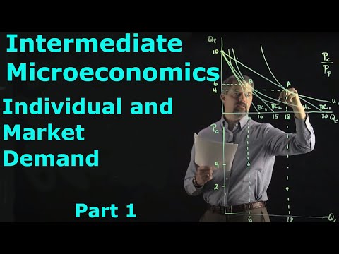 Intermediate Microeconomics: Individual and Market Demand, part 1