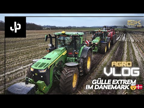 Gülle Extrem 2024 in Dänemark! John Deere 8R || JP Agrar